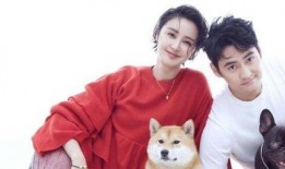 张歆艺互相爆料了吗视频,视频揭露娱乐圈真实一面